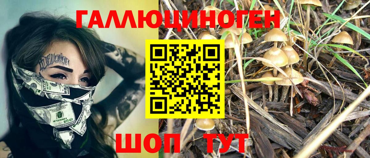 Псилоцибиновые грибы MAGIC MUSHROOMS  Вход с VPN  наркотики  Ставрополь 